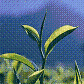 নৈষাদ এর ছবি